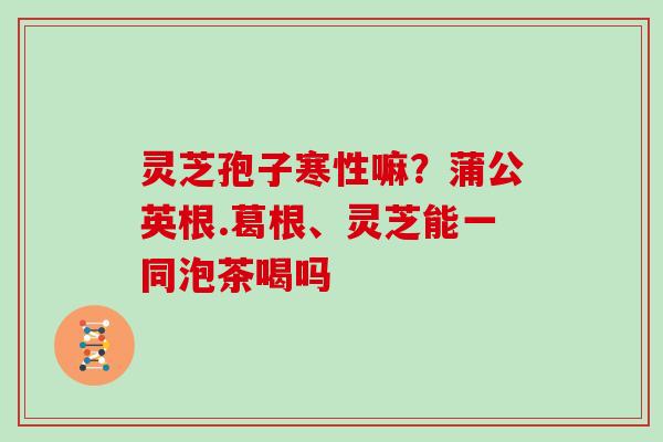 灵芝孢子寒性嘛？蒲公英根.葛根、灵芝能一同泡茶喝吗
