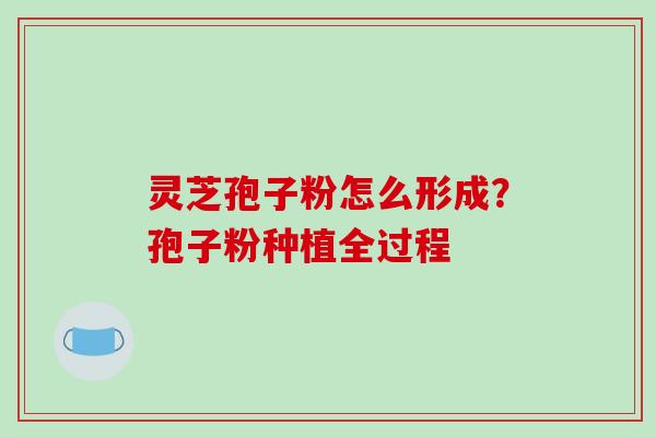 灵芝孢子粉怎么形成？孢子粉种植全过程