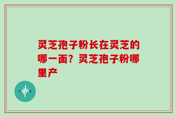 灵芝孢子粉长在灵芝的哪一面?灵芝孢子粉哪里产