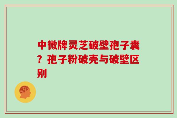 中微牌灵芝破壁孢子囊?孢子粉破壳与破壁区别