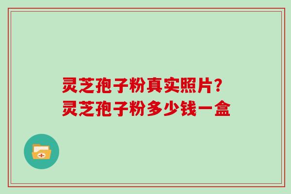 灵芝孢子粉真实照片?灵芝孢子粉多少钱一盒