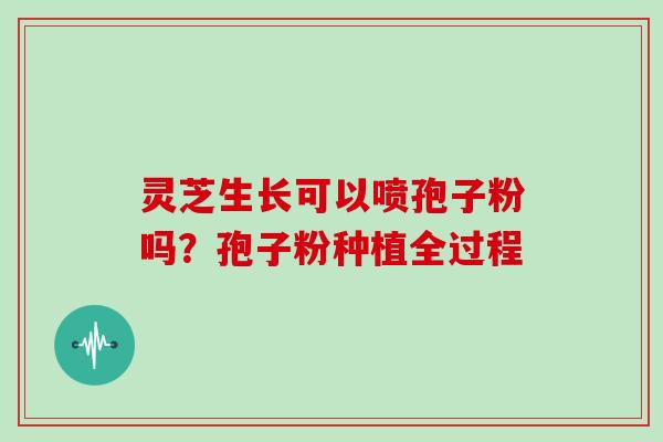 灵芝生长可以喷孢子粉吗?孢子粉种植全过程