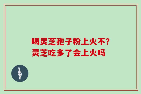 喝灵芝孢子粉上火不?灵芝吃多了会上火吗