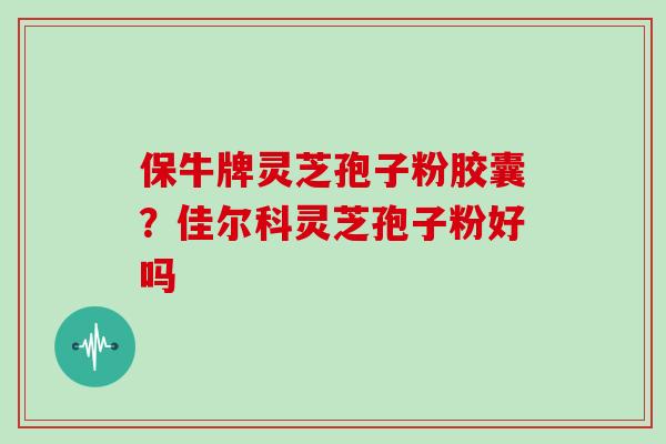 保牛牌灵芝孢子粉胶囊?佳尔科灵芝孢子粉好吗
