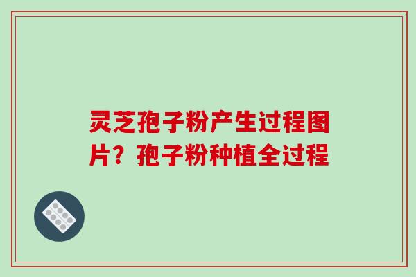 灵芝孢子粉产生过程图片?孢子粉种植全过程