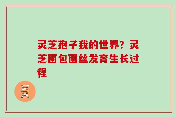 灵芝孢子我的世界?灵芝菌包菌丝发育生长过程
