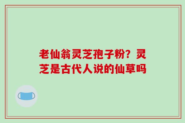 老仙翁灵芝孢子粉?灵芝是古代人说的仙草吗