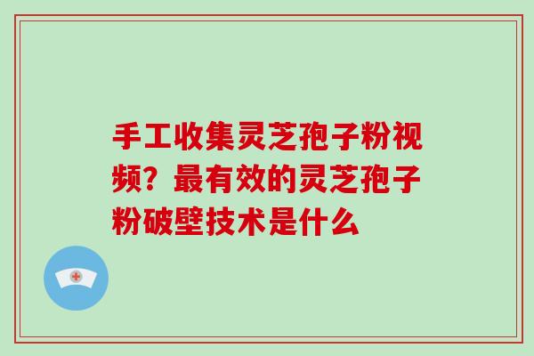手工收集灵芝孢子粉视频？最有效的灵芝孢子粉破壁技术是什么