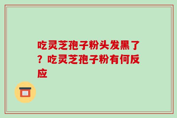 吃灵芝孢子粉头发黑了？吃灵芝孢子粉有何反应