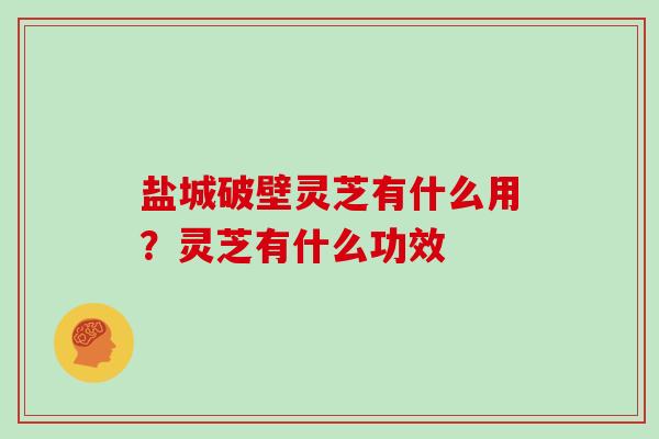 盐城破壁灵芝有什么用?灵芝有什么功效