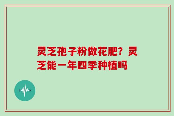灵芝孢子粉做花肥?灵芝能一年四季种植吗