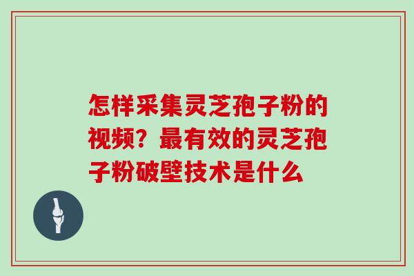 怎样采集灵芝孢子粉的视频？最有效的灵芝孢子粉破壁技术是什么