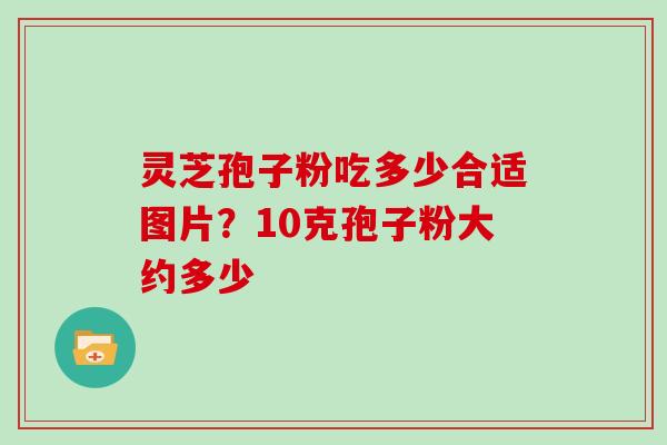 灵芝孢子粉吃多少合适图片?10克孢子粉大约多少