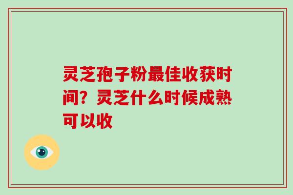 灵芝孢子粉最佳收获时间？灵芝什么时候成熟可以收