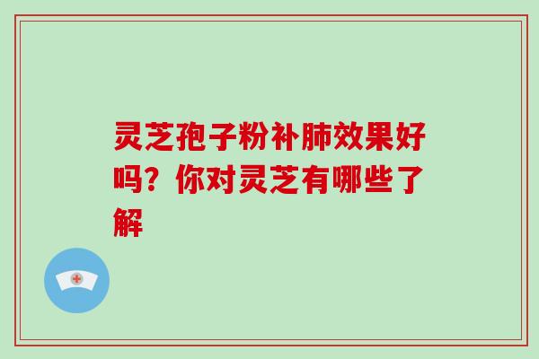 灵芝孢子粉补肺效果好吗？你对灵芝有哪些了解
