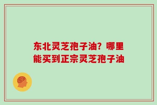 东北灵芝孢子油?哪里能买到正宗灵芝孢子油