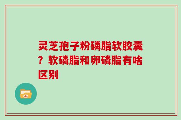 灵芝孢子粉磷脂软胶囊？软磷脂和卵磷脂有啥区别