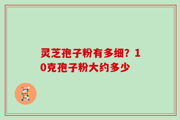 灵芝孢子粉有多细?10克孢子粉大约多少