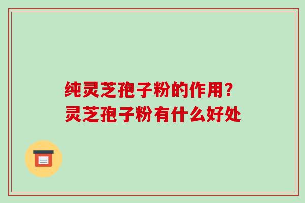 纯灵芝孢子粉的作用?灵芝孢子粉有什么好处
