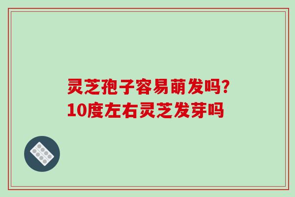 灵芝孢子容易萌发吗?10度左右灵芝发芽吗
