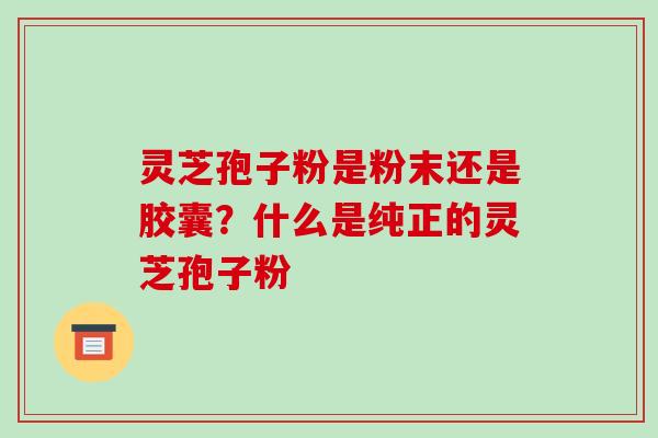 灵芝孢子粉是粉末还是胶囊?什么是纯正的灵芝孢子粉