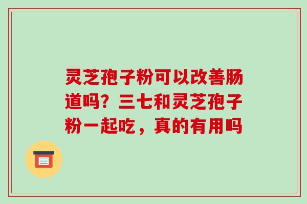 灵芝孢子粉可以改善肠道吗?三七和灵芝孢子粉一起吃,真的有用吗