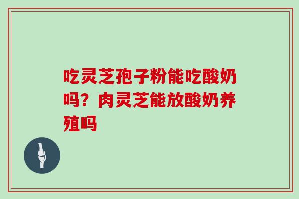 吃灵芝孢子粉能吃酸奶吗?肉灵芝能放酸奶养殖吗
