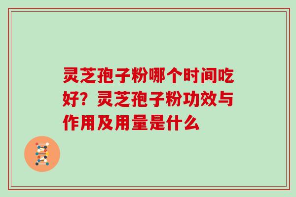 灵芝孢子粉哪个时间吃好?灵芝孢子粉功效与作用及用量是什么