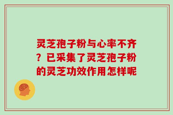 灵芝孢子粉与心率不齐?已采集了灵芝孢子粉的灵芝功效作用怎样呢
