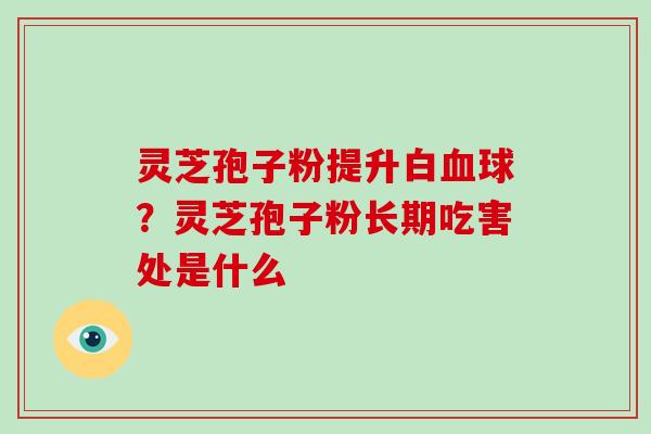 灵芝孢子粉提升白血球?灵芝孢子粉长期吃害处是什么