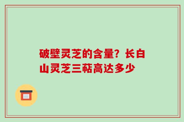 破壁灵芝的含量?长白山灵芝三萜高达多少
