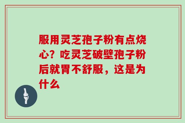 服用灵芝孢子粉有点烧心?吃灵芝破壁孢子粉后就胃不舒服,这是为什么