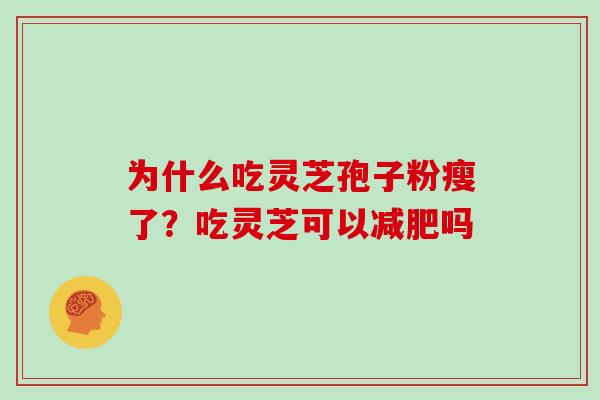 为什么吃灵芝孢子粉瘦了?吃灵芝可以减肥吗