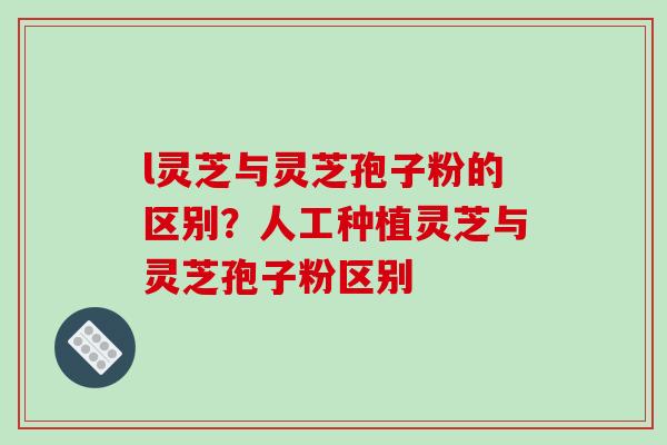 l灵芝与灵芝孢子粉的区别?人工种植灵芝与灵芝孢子粉区别