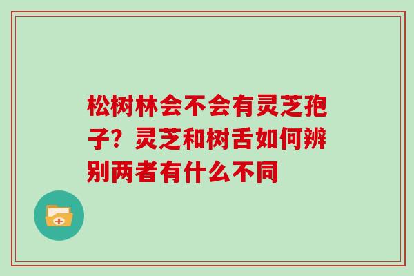 松树林会不会有灵芝孢子?灵芝和树舌如何辨别两者有什么不同