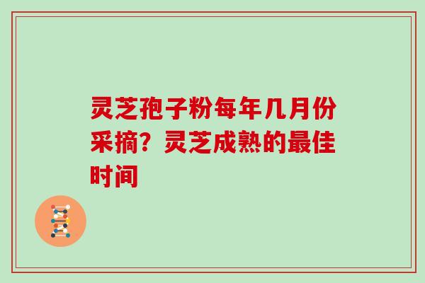 灵芝孢子粉每年几月份采摘?灵芝成熟的最佳时间