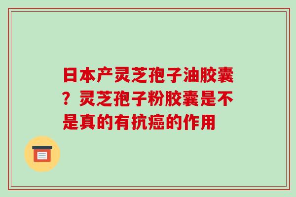 日本产灵芝孢子油胶囊?灵芝孢子粉胶囊是不是真的有抗癌的作用
