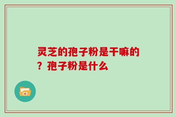 灵芝的孢子粉是干嘛的?孢子粉是什么