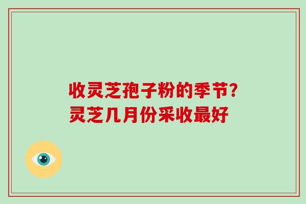 收灵芝孢子粉的季节?灵芝几月份采收最好