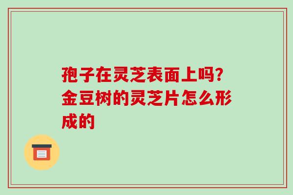 孢子在灵芝表面上吗?金豆树的灵芝片怎么形成的