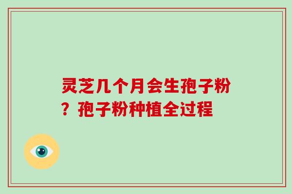 灵芝几个月会生孢子粉？孢子粉种植全过程