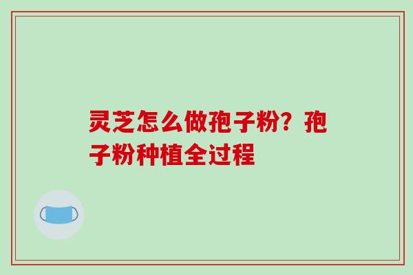 灵芝怎么做孢子粉?孢子粉种植全过程