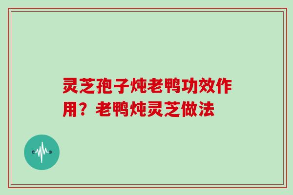 灵芝孢子炖老鸭功效作用?老鸭炖灵芝做法