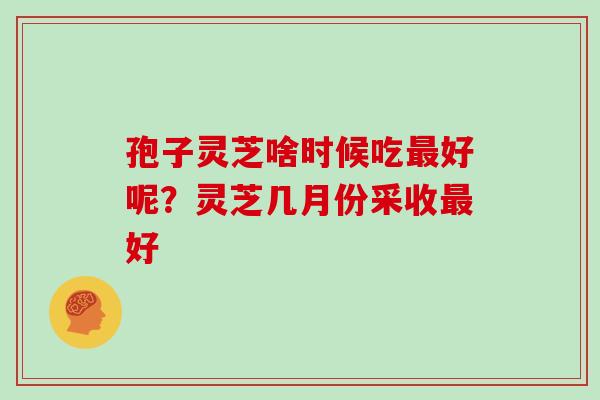 孢子灵芝啥时候吃最好呢？灵芝几月份采收最好