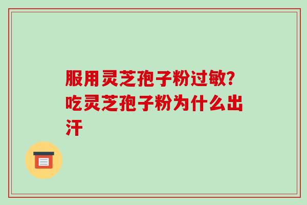 服用灵芝孢子粉过敏？吃灵芝孢子粉为什么出汗