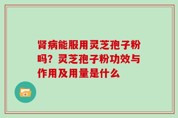 肾病能服用灵芝孢子粉吗？灵芝孢子粉功效与作用及用量是什么
