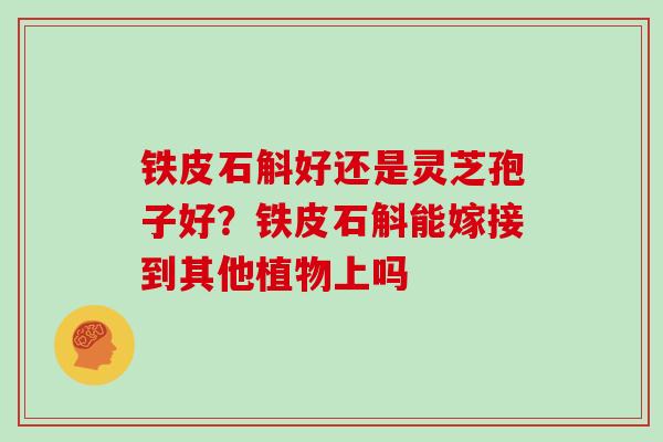 铁皮石斛好还是灵芝孢子好?铁皮石斛能嫁接到其他植物上吗