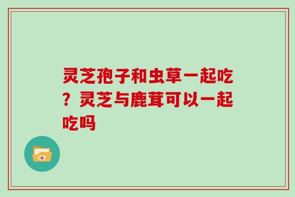 灵芝孢子和虫草一起吃？灵芝与鹿茸可以一起吃吗