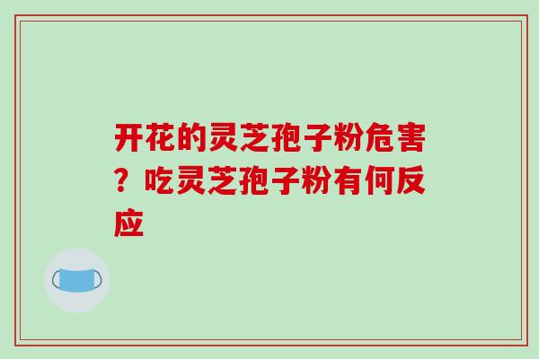 开花的灵芝孢子粉危害?吃灵芝孢子粉有何反应