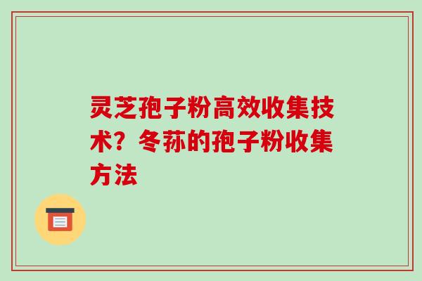 灵芝孢子粉高效收集技术？冬荪的孢子粉收集方法